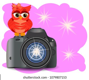 The owl sits on the Start button of a realistic, modern camera, on a pink background with flashes of copy space