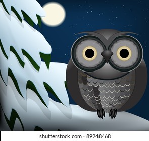Owl sitting at night on snowed tree