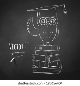Owl sitting on books. Chalkboard drawing. Vector illustration.