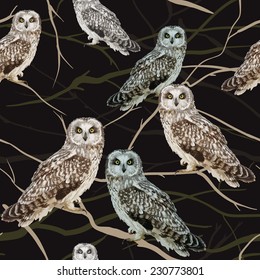 owl sitting on a branch