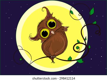 owl sitting on the branch