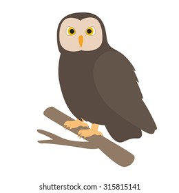 owl sitting on branch