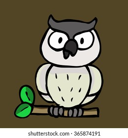 owl sitting on a branch