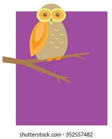 Owl sitting on branch with color block background