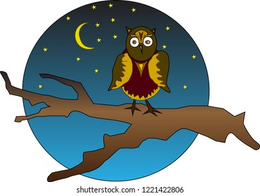 owl sitting on a branch, starry night