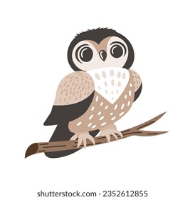 An owl sitting on a branch. Vector illustration