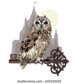 Owl sitting on an old key, on the background of the magic castle. A symbol of secret knowledge, isolated on white, vector illustration