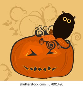 Owl sitting on Spooky Pumpkin Vector Illustration