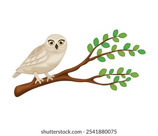 Búho. Un búho está sentado en una rama de árbol. Un búho en un árbol. Un pájaro de presa en un estilo de dibujos animados. Ilustración vectorial aislada en un fondo blanco