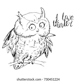 Owl sitting on tree branch and looking at camera at white. I love winter calligraphy phrase.