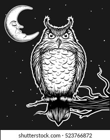 Owl is sitting on the tree in the nighttime.Vector illustration