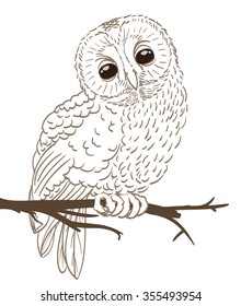 owl sitting on a tree. vector