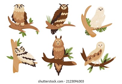 Owl sitting at tree branch elements collection. Forest nocturnal birds, eagle-owl, barn, eurasian flat isolated set. 
