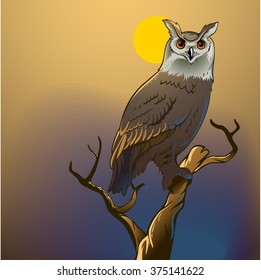 Owl sitting upon a tree branch in the moonlight background
