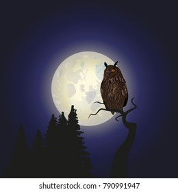 Owl sitting upon a tree branch with a large moon in the background. Vector illustration