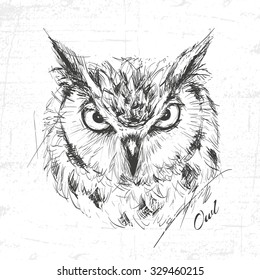 Owl sketch drawn hands, vector illustration