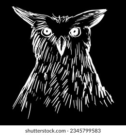 Owl sketch hand drawing  illustration  