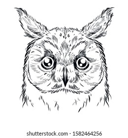 owl sketch. Hand drawn vector illustration. Prints design for t-shirts. Retro old style.