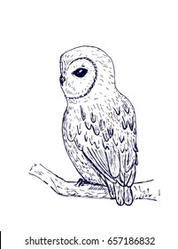 Owl sketch. Hand drawn vector illustration. Nocturnal predator on a tree branch.