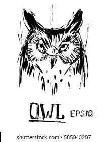 Owl sketch. Vector illustration