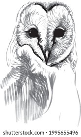 Owl sketch. In vector. For sketchbook cover, poster, print on clothes, stickers.