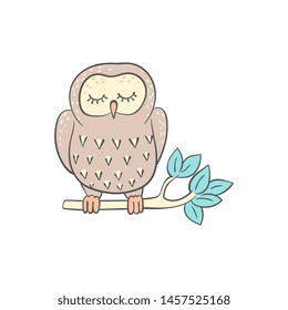 Owl sleeping on the tree branch cute doodle cartoon vector illustration isolated on white background. Forest bird for good night and sweet dreams wishing cards and prints.