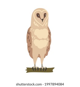 Owl Specie as Nocturnal Bird of Prey with Hawk-like Beak and Forward-facing Eyes Perching on Tree Branch Vector Illustration