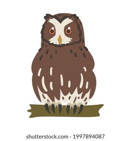 Owl Specie as Nocturnal Bird of Prey with Hawk-like Beak and Forward-facing Eyes Perching on Tree Branch Vector Illustration