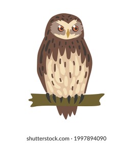 Owl Specie as Nocturnal Bird of Prey with Hawk-like Beak and Forward-facing Eyes Perching on Tree Branch Vector Illustration