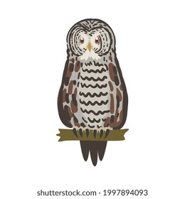 Owl Specie as Nocturnal Bird of Prey with Hawk-like Beak and Forward-facing Eyes Perching on Tree Branch Vector Illustration
