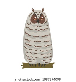 Owl Specie as Nocturnal Bird of Prey with Hawk-like Beak and Forward-facing Eyes Perching on Tree Branch Vector Illustration