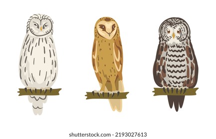 Owl Species as Nocturnal Bird of Prey with Hawk-like Beak and Forward-facing Eyes Perching on Tree Branch Vector Set
