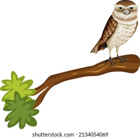 Owl standing on the tree branch illustration