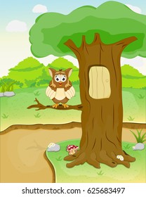 owl standing on tree branch