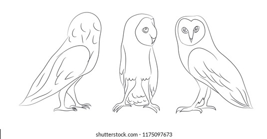 owl stands drawing lines, vector, white background