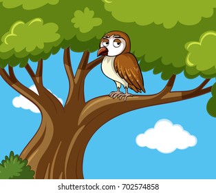 Owl stands on branch at daytime illustration