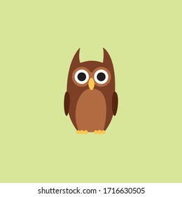 Owl staring up front with really big eyes