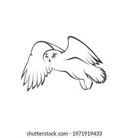Owl stock vector . Illustrations, Vectors 