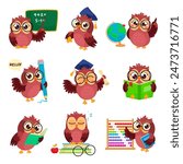 Owl student. Cartoon owls graduate students or teacher professor cute character, wise bird in glasses pencil book school science education ingenious vector illustration of vector education owl