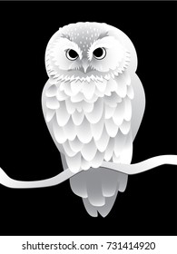 owl in the style of cut paper