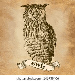 owl in the style of an engraving