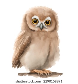 owl with style hand drawn digital painting illustration