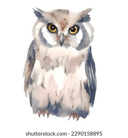 owl with style hand drawn digital painting illustration