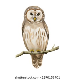 owl with style hand drawn digital painting illustration