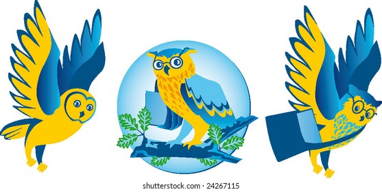 Owl teacher