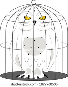 An owl that has been locked in cage and doesn't feel happy about it.