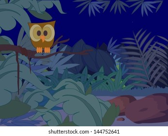 Owl in the tree