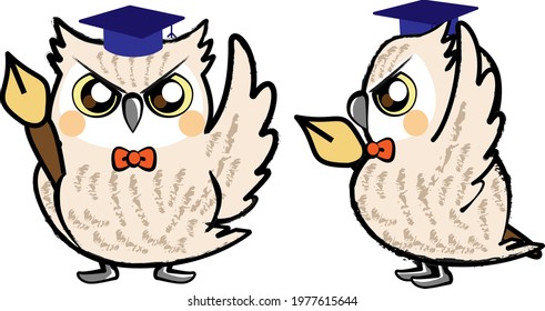 Owl two-sided view front side side illustration material
