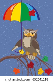 Owl under umbrella