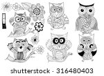 Owl Vector